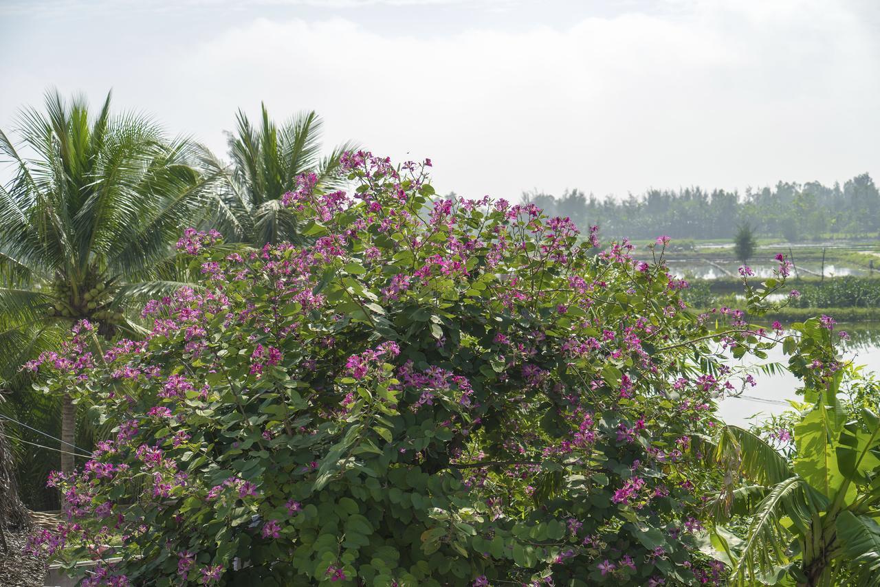 Hoi An Luna Villa ภายนอก รูปภาพ