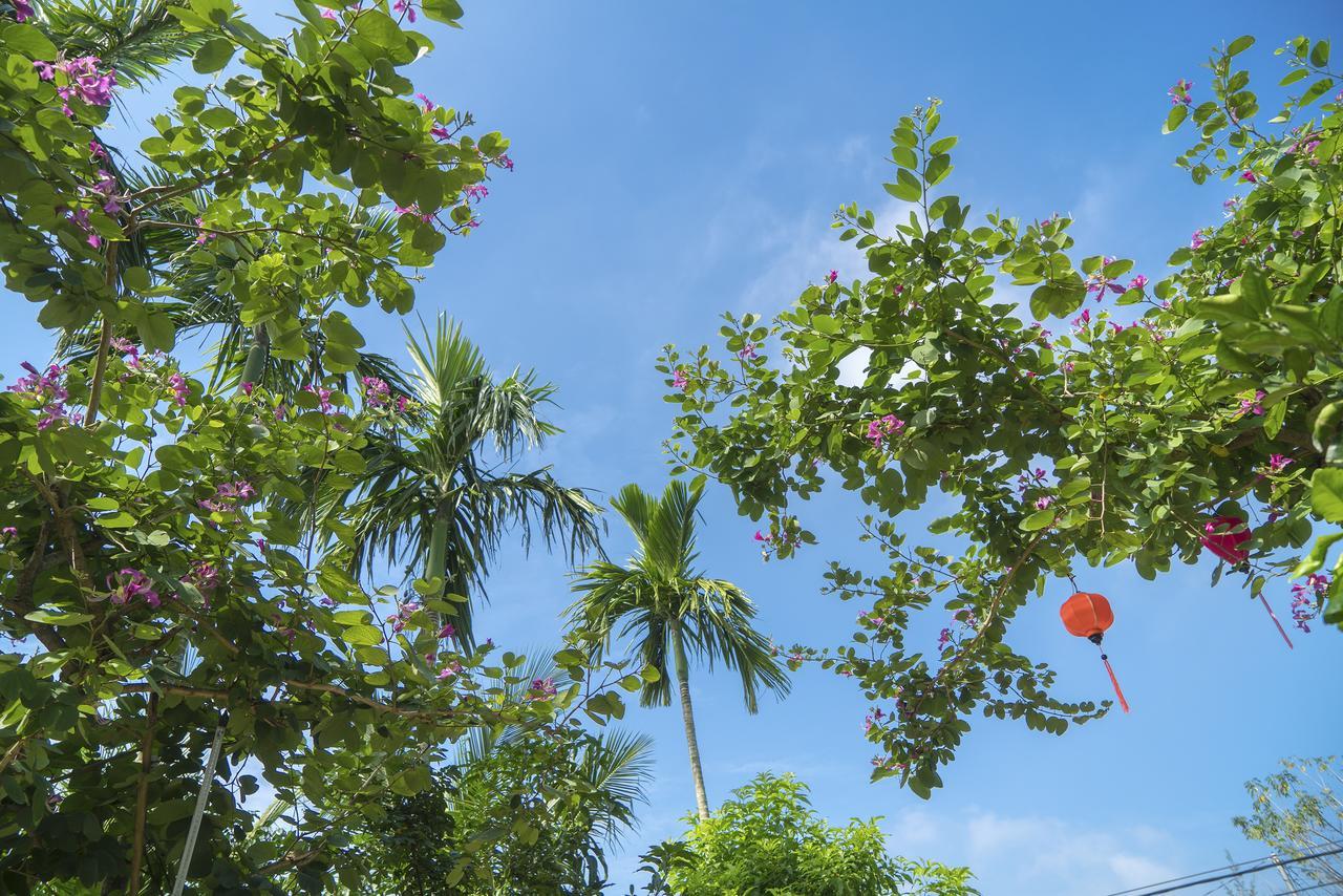 Hoi An Luna Villa ภายนอก รูปภาพ
